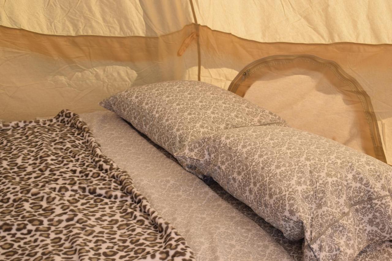 Starlight Tent 3 Голбрук Екстер'єр фото